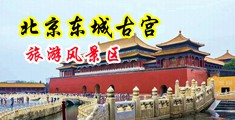 啊哈嗯哼噗嗤噗嗤要高潮了中国北京-东城古宫旅游风景区